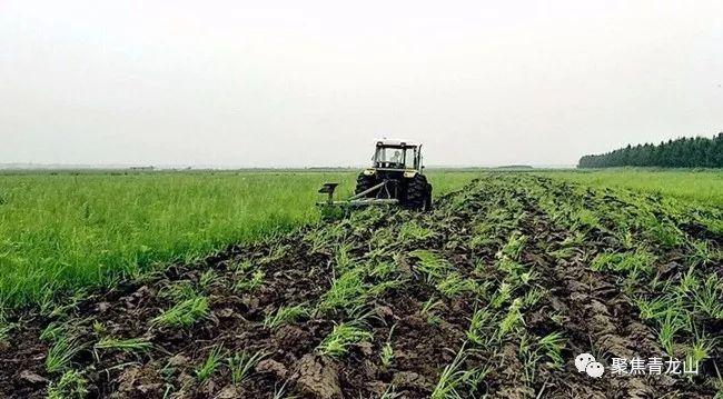 青龙山农场新项目引领农业现代化新趋势