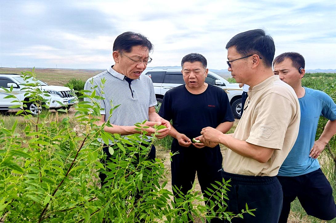 海原县交通运输局新项目启动，县域交通发展迈入新篇章