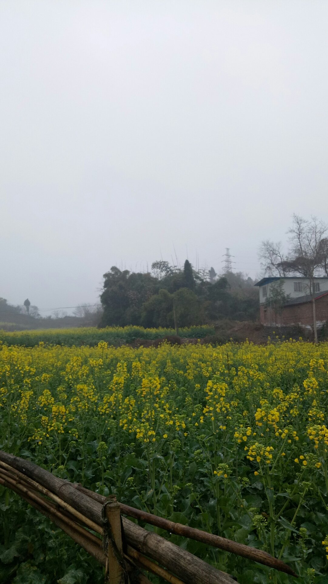 香花乡天气预报更新通知