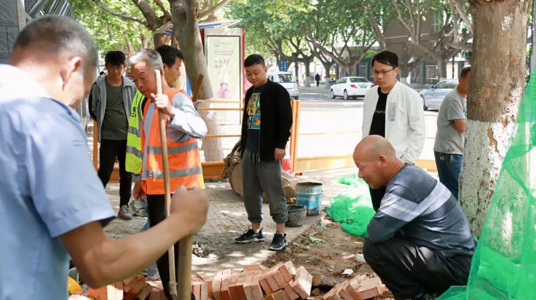 铜川市园林管理局最新发展规划概览