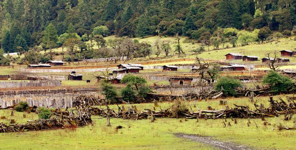 扎格村天气预报更新通知